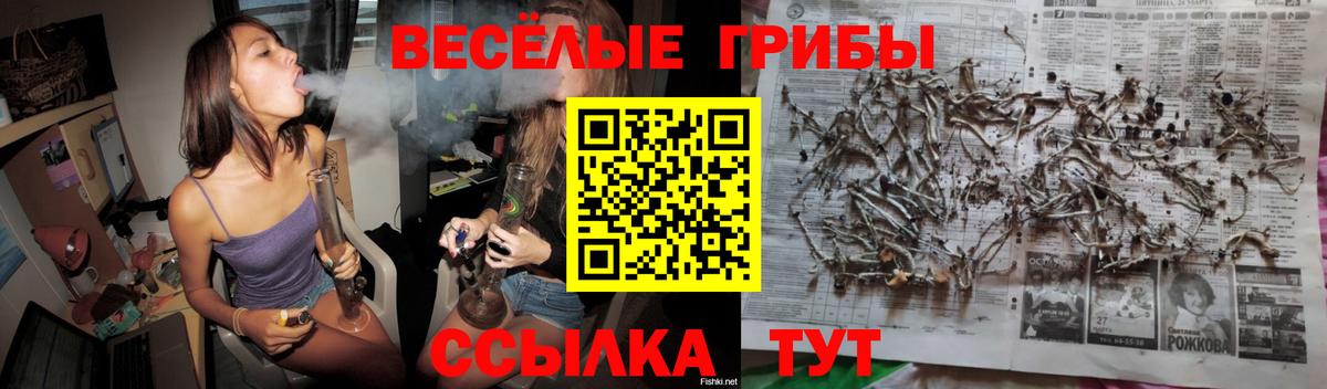 Галлюциногенные грибы Psilocybine cubensis Стрежевой
